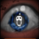File:UnusedAchievement3.png
