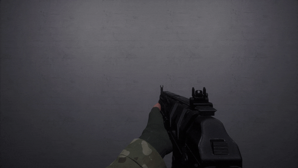 File:Akinspectnew.gif