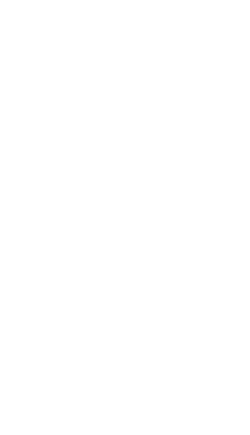File:Mag65FMJ.png
