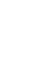 File:FRMGMag 100 FMJ.png