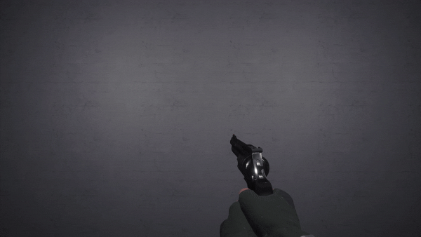File:Revolverinspectnew.gif
