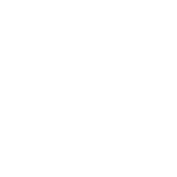 File:079tesla2.png