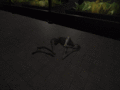 Thumbnail for version as of 00:29, 13 March 2023