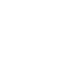 ExternalCameraIcon.png
