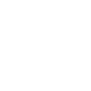 LCZCameraIcon.png