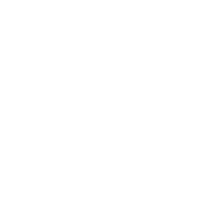 Holo4.png