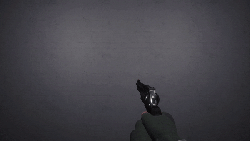 Revolverreloadrare.gif