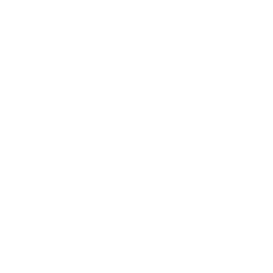 Holo2.png