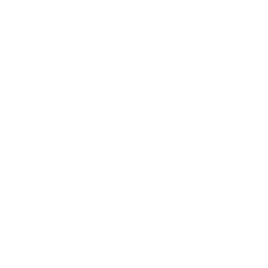 Lockdown-icon.png