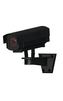 HCZ CCTV.png