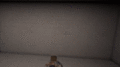 Thumbnail for version as of 16:36, 14 August 2025