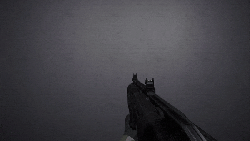 Shotguninspectnew.gif