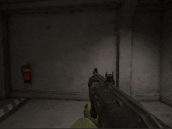 ShotgunInspect.gif