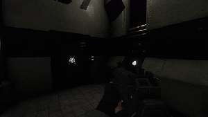 FSP-9 Inspect New.gif