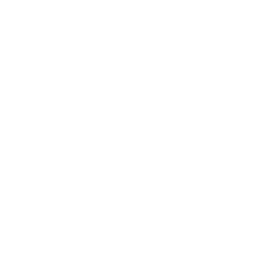 Holo1.png