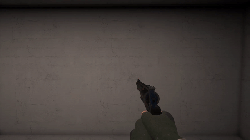 Revolverinspect.gif