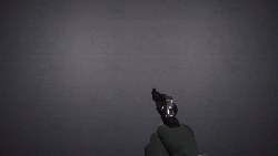 Revolverreloadnew.gif