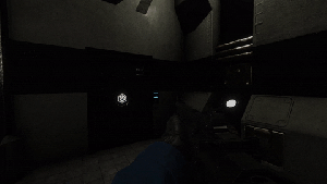 E-11 Inspect New.gif