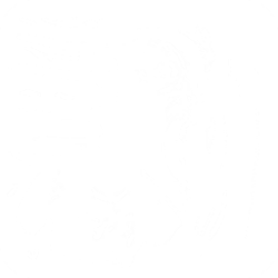096ChargeSprite.png