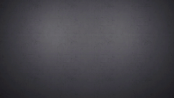 Revolverrareequipnew.gif