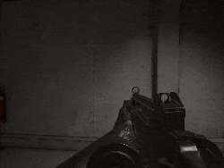 FRMG0Inspect.gif