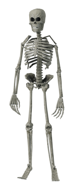 File:SCP-3114 Indev.png