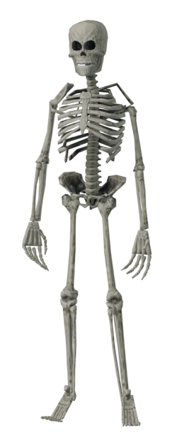 SCP-3114 Indev.png