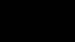 FlashDark.jpg