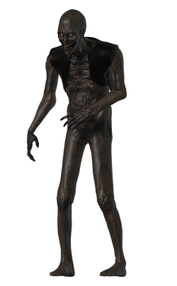 Scp10613.png
