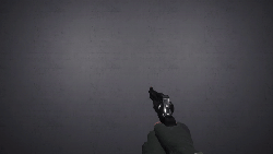 Revolverunloadnew.gif
