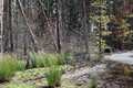 Thumbnail for version as of 23:45, 1 September 2025