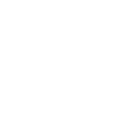 Holo8.png