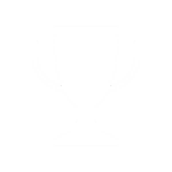 File:Trophy3.png