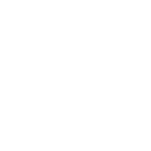 Speakericon.png